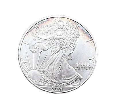 2001 American Silver Eagle w/ Toning