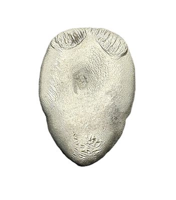 2.38 oz Handpoured Sterling Silver Skull
