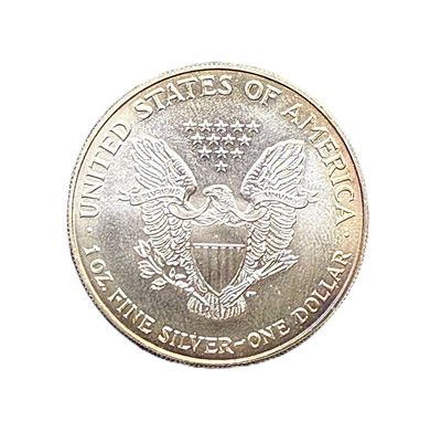 1995 American Silver Eagle 1 oz- Rainbow Toned