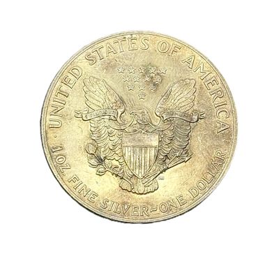 1989 American Silver Eagle