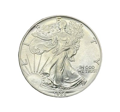 1989 American Silver Eagle 1 oz Uncirculated