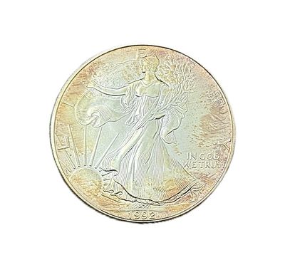 1992 American Silver Eagle 1 oz Toned