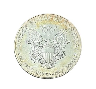 1992 American Silver Eagle 1 oz Toned