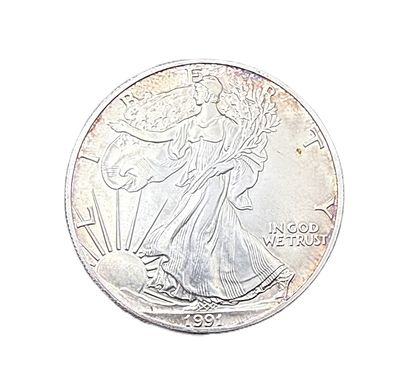 1991 American Silver Eagle 1 oz Brilliant Uncirculated with Natural Rim Toning