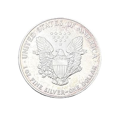 1993 American Silver Eagle 1oz Uncirculated with Attractive Peripheral Toning
