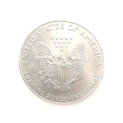 1993 American Silver  Eagle