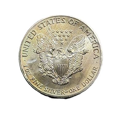 1991 American Silver Eagle- Toned