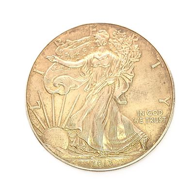 2013 American Silver Eagle