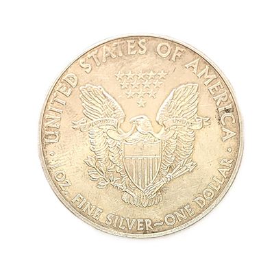 2013 American Silver Eagle