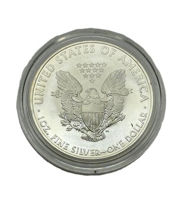 2010 1 oz American Silver Eagle Coin UNC OGP