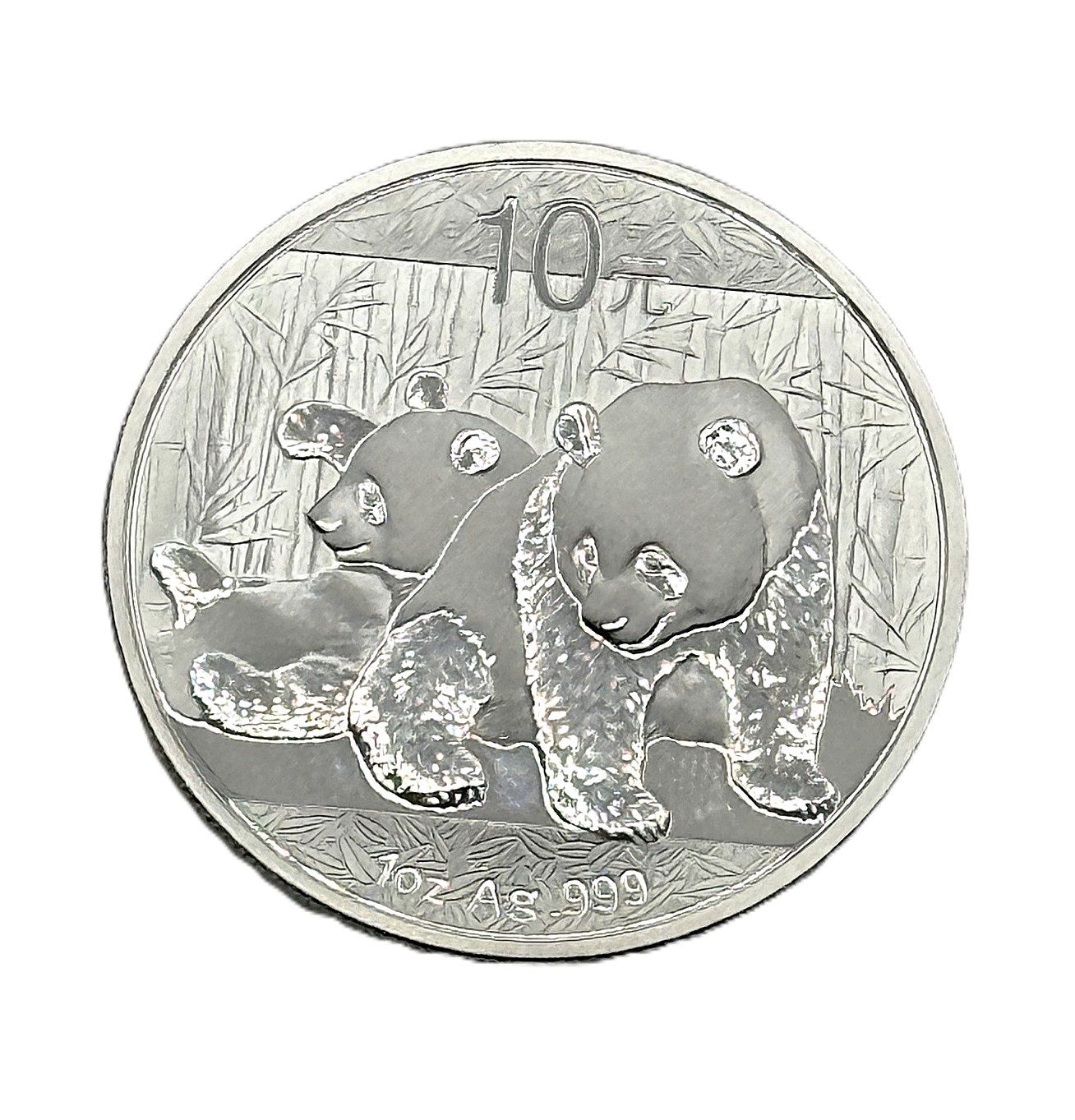 2010 Chinese 10 Yuan Silver Panda 1 oz Coin