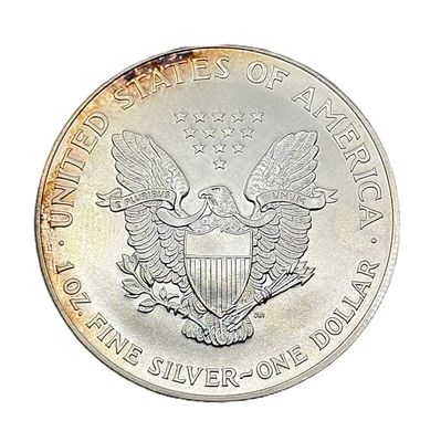 1999 American Silver Eagle $1- Toned