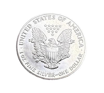 1989 American Silver Eagle 1 oz Silver Bullion Coin BU