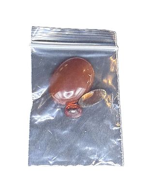 Warm Carnelian Orange Mix Loose Gemstone Lot