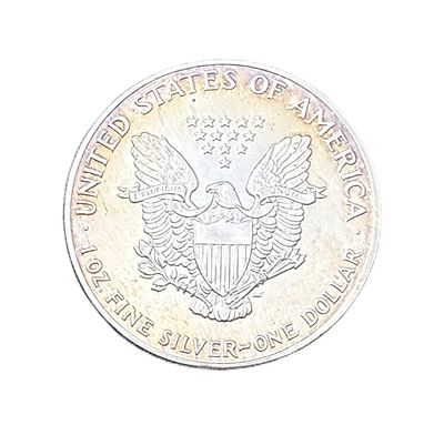 1989 Vintage American Silver Eagle – Beautiful Golden-Rim Toning