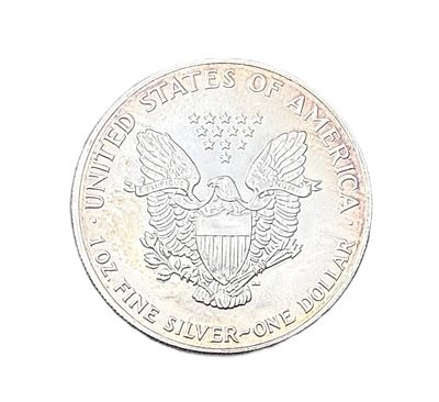 1990 American Silver Eagle 1 oz with Elegant Perimeter Toning