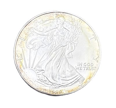 1995 American Silver Eagle 1 oz with Natural Golden-Amber Toning