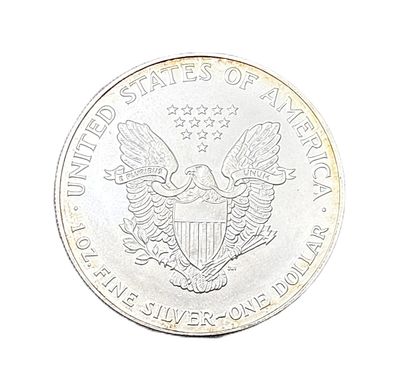 1995 American Silver Eagle 1 oz with Natural Golden-Amber Toning