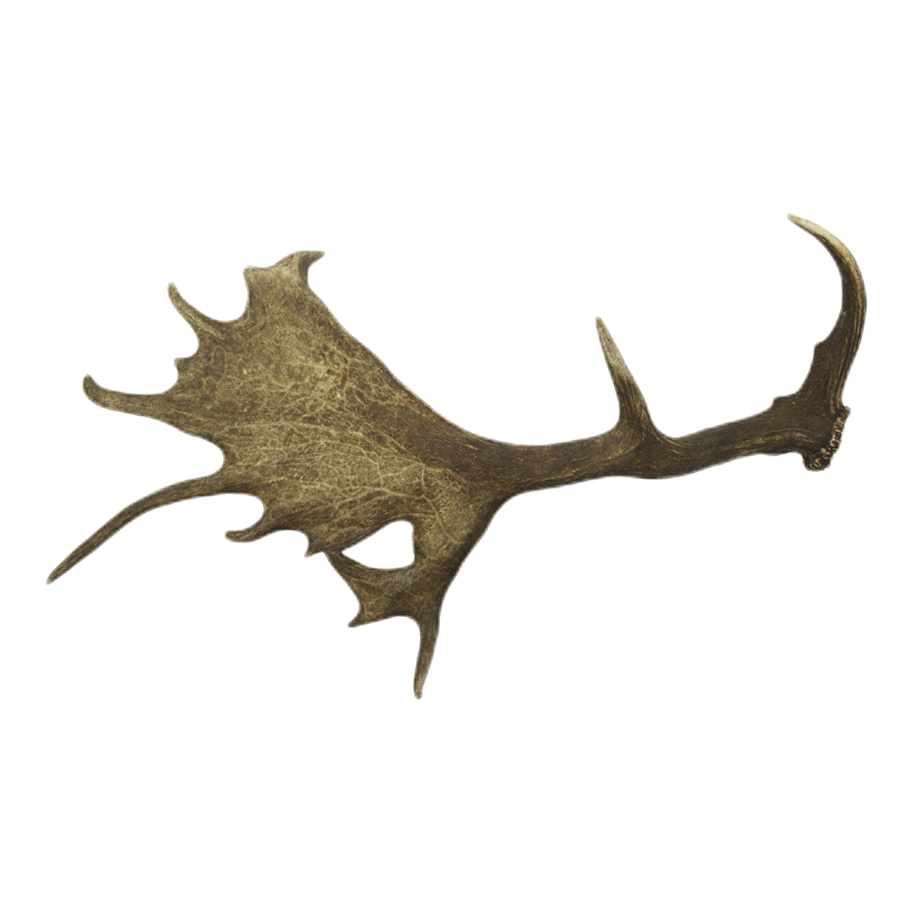 Afworpstang damhert (A/1kg)