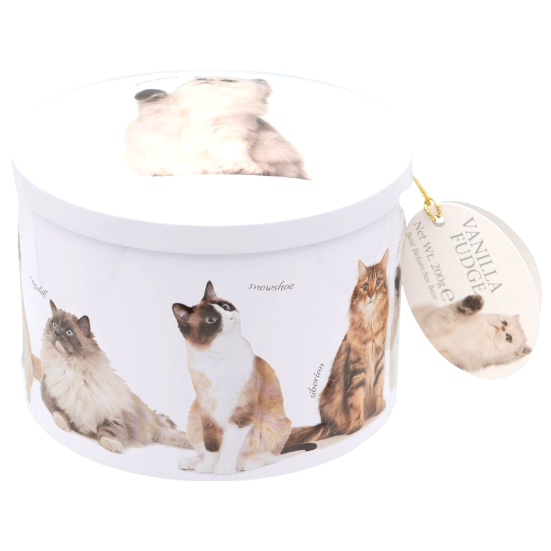 KATTEN RONDE VANILLE FUDGE BLIK 200GR