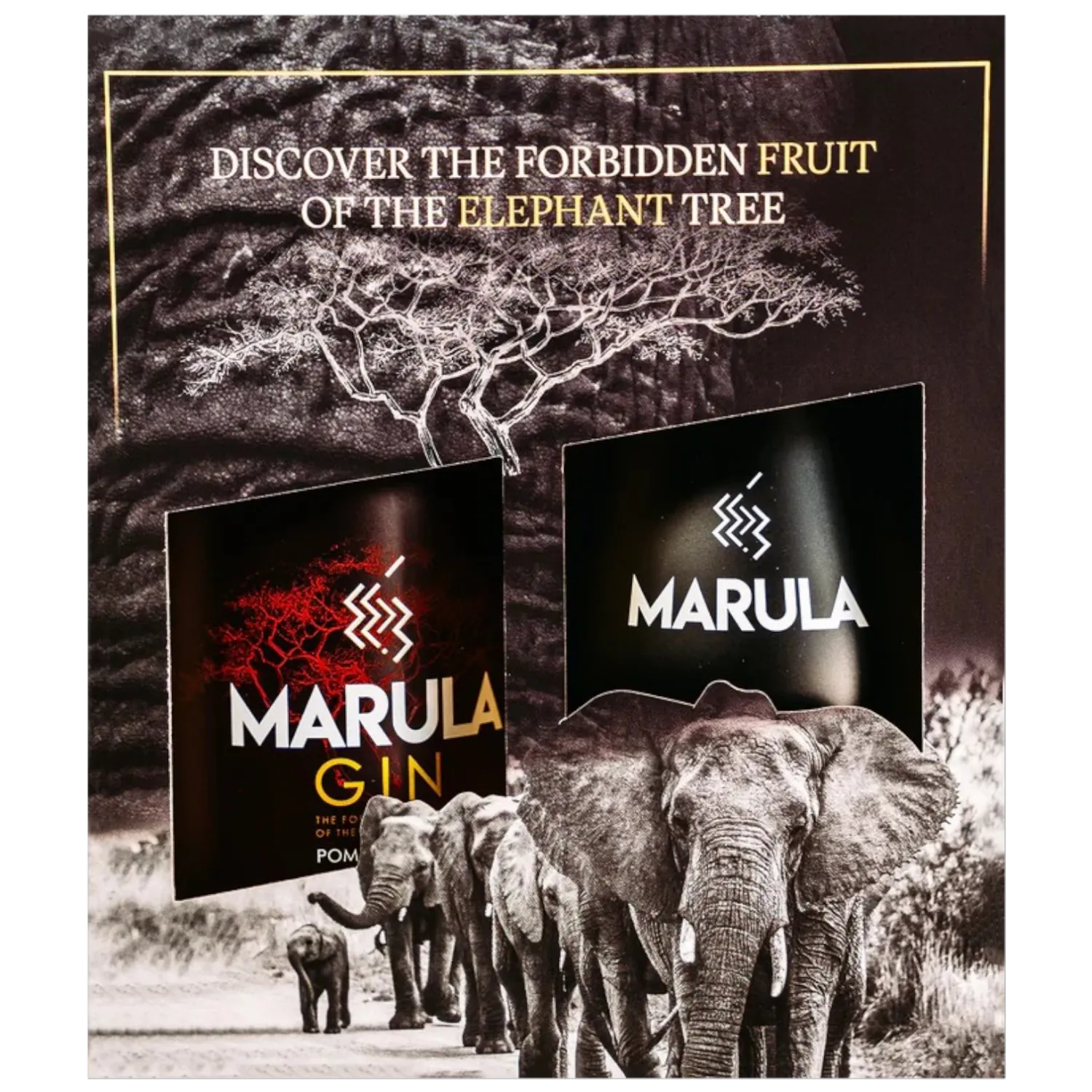 Marula Gin Pomegranate + glas 40° - 0,5L