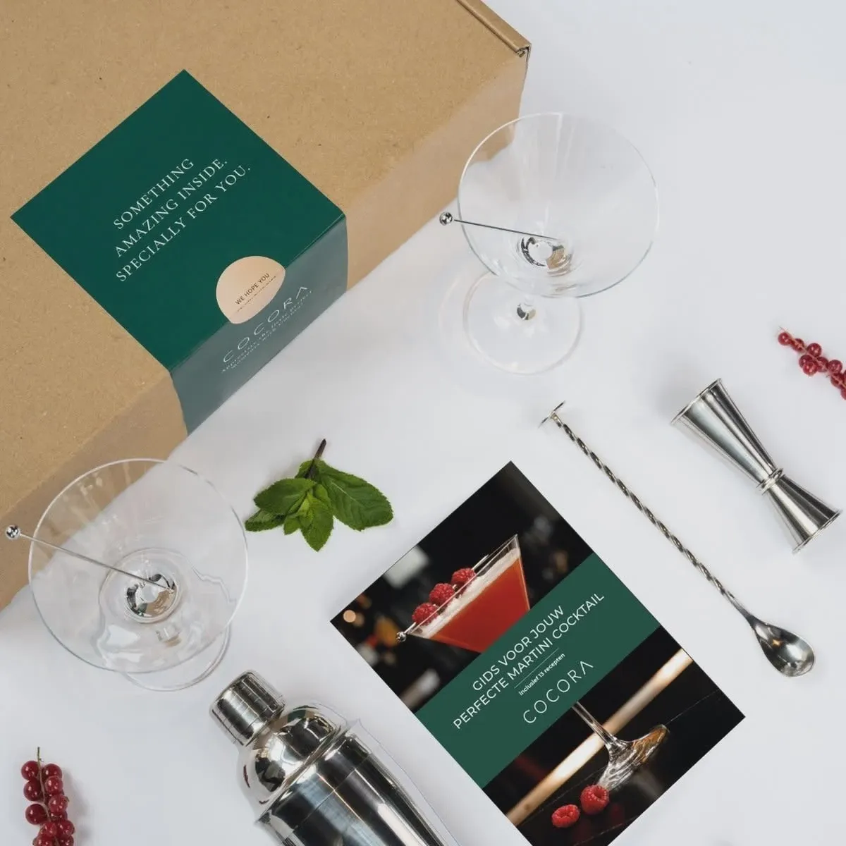 Cocora Martini Set - 9-delige Cocktail Set - Martini Glazen - Uitgebreid Gids incl. 10+ Recepten - Luxe Cadeauverpakking - Duurzaam Cadeau Silver