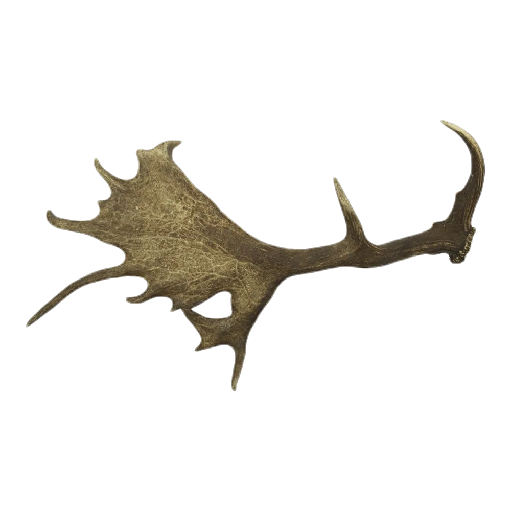 Afworpstang damhert (A/1kg)