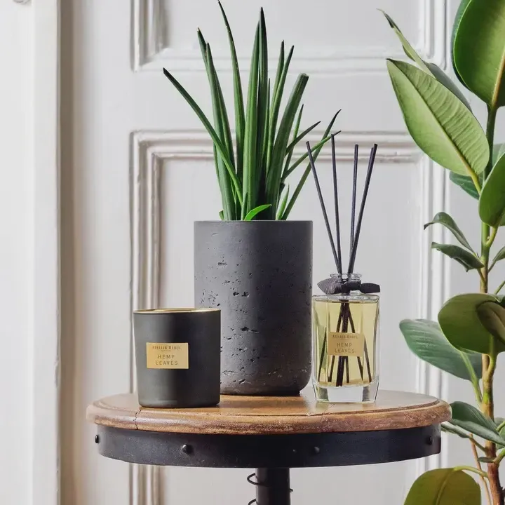 ATELIER REBUL HEMP LEAVES SCENTED CANDLE 210 GR