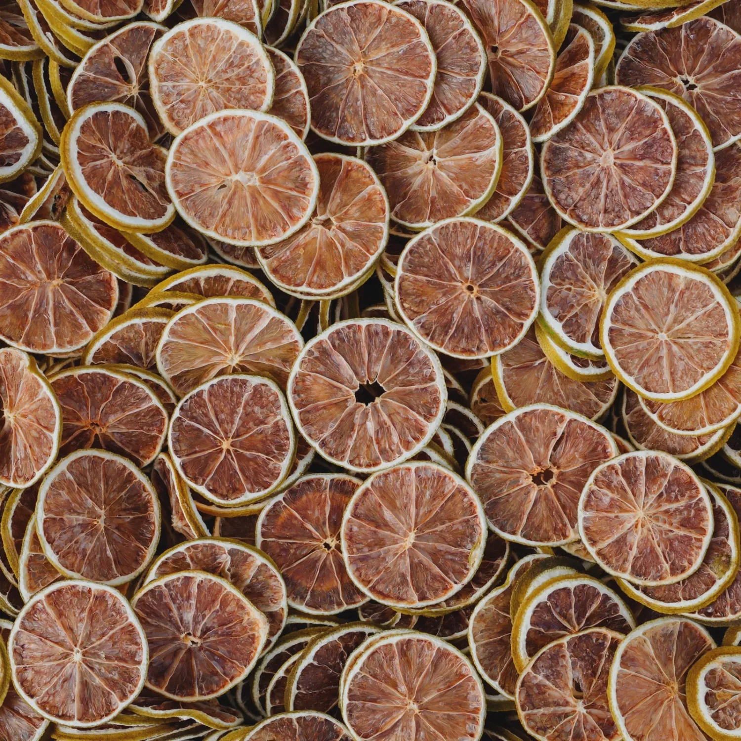 4 citrus pack - orange, blood orange, lime and lemon slices