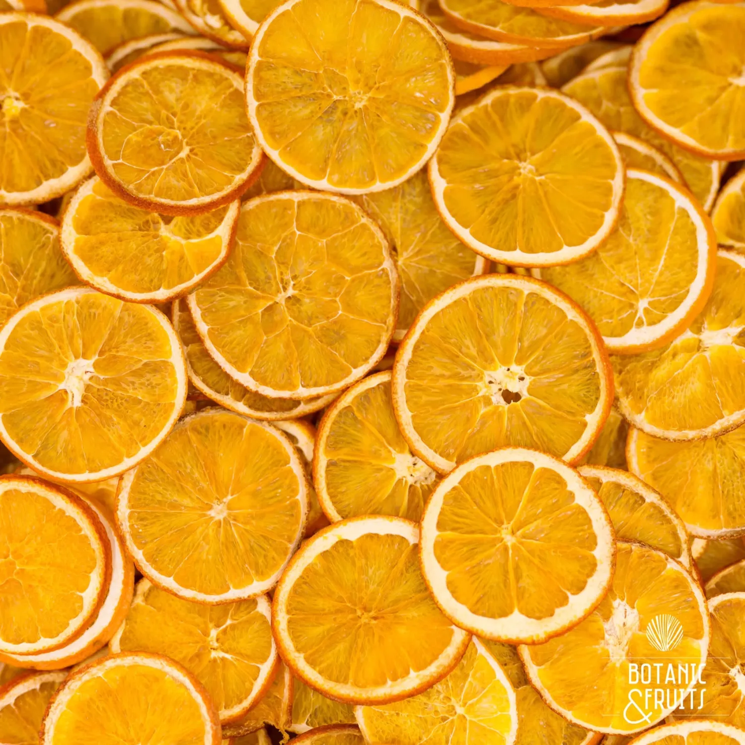 4 citrus pack - orange, blood orange, lime and lemon slices