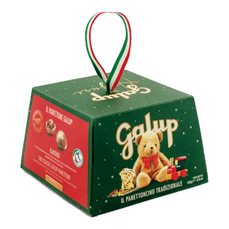 Il Panettoncino Tradizionale 100gr