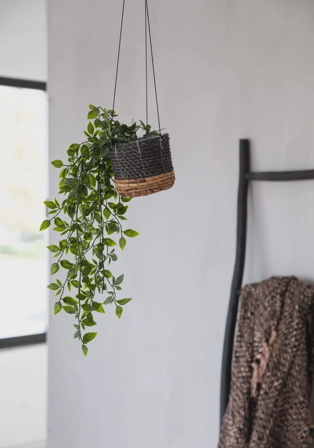 The Banana Plant Hanger - Natural Black