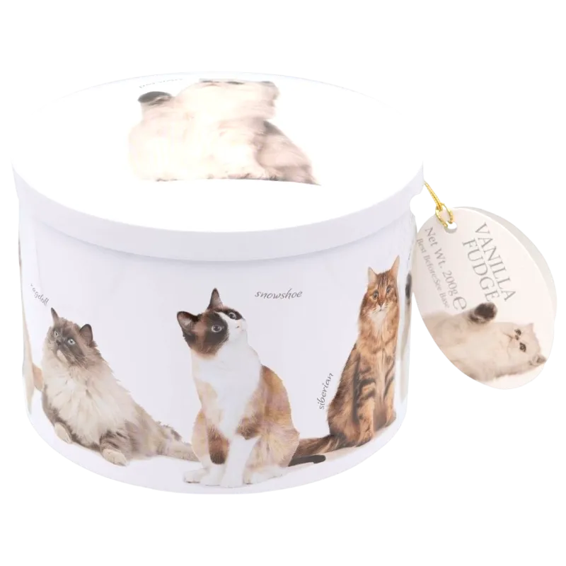 KATTEN RONDE VANILLE FUDGE BLIK 200GR