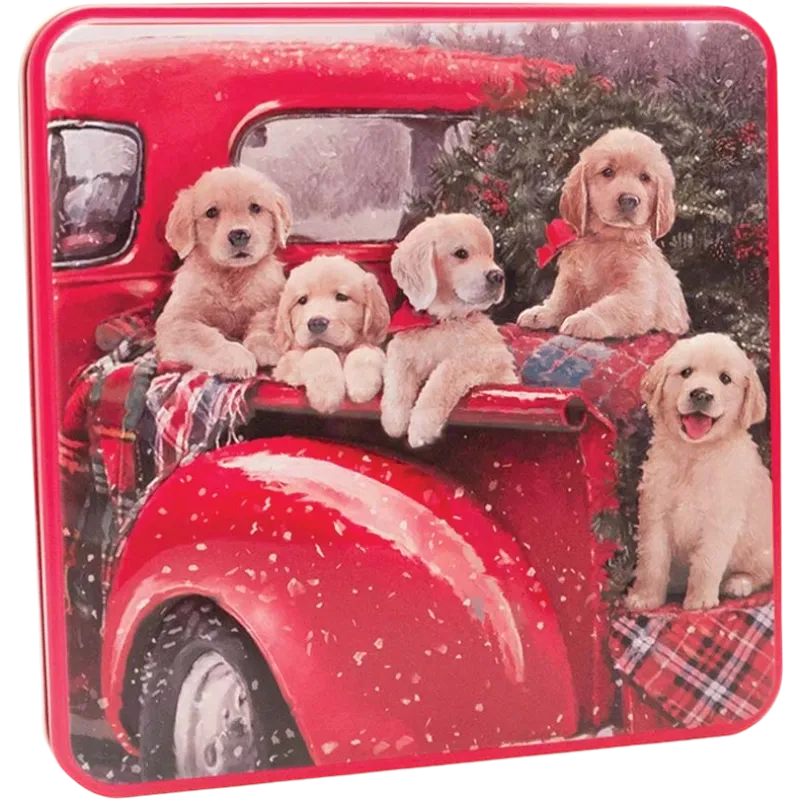 EMBOSSSED PUPPIES IN A VAN TIN 160GR