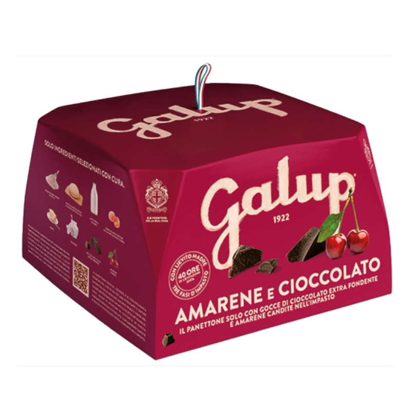 Panettone with chocolate and cherry