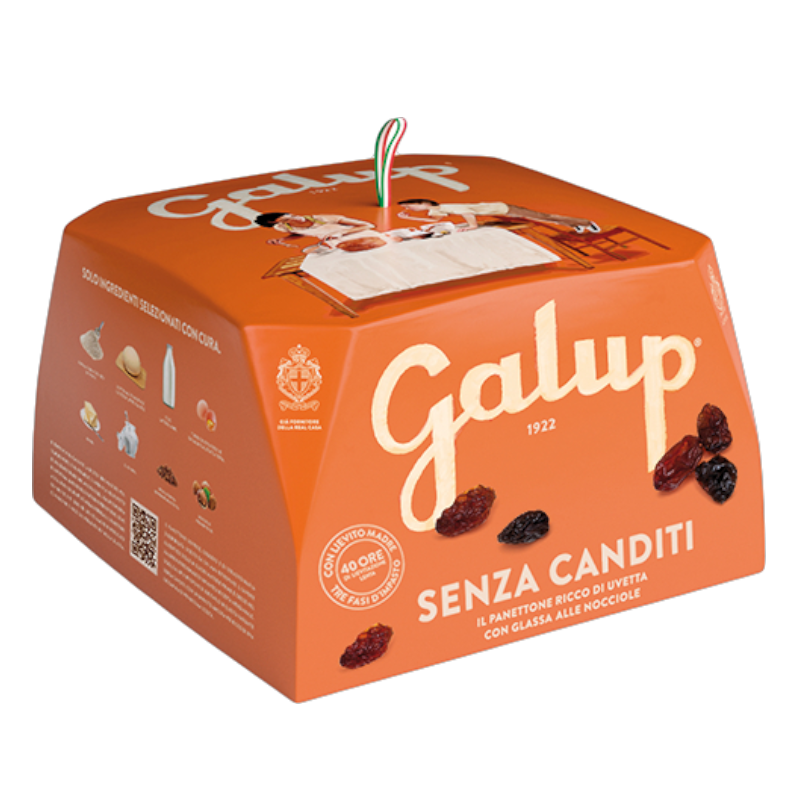 Panettone with Dried Raisins 750g