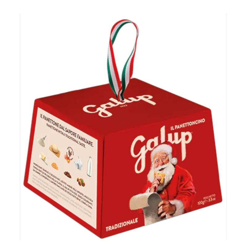 Panettone Traditionnel 100gr