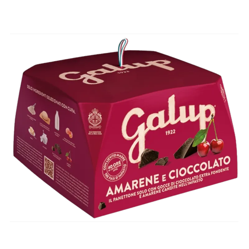 Panettone au chocolat et cerise