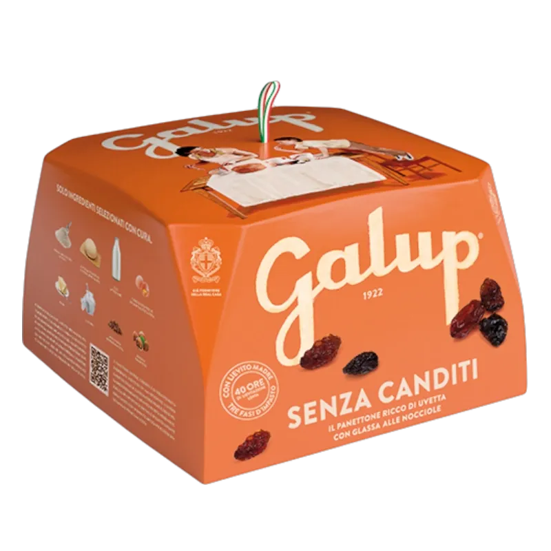 Panettone aux raisins secs 750g