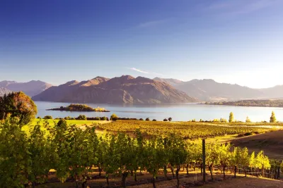 Nieuw-Zeelandse wijnen