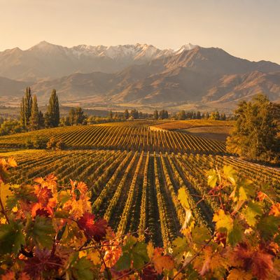 Chile