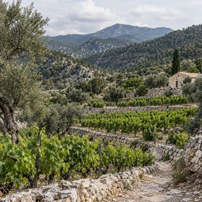 Cyprus