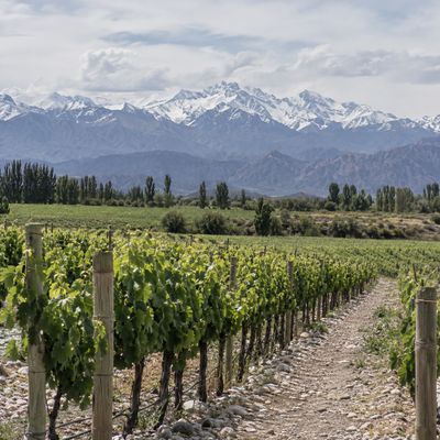 Argentinië