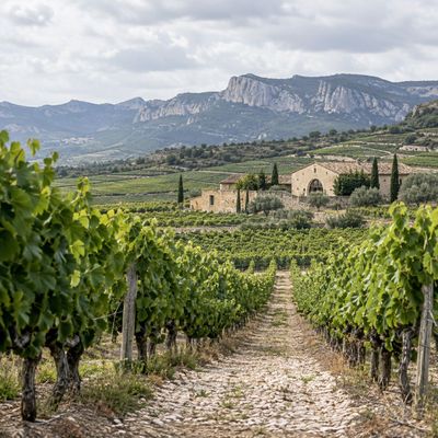 Sherry – Cream – Spanje