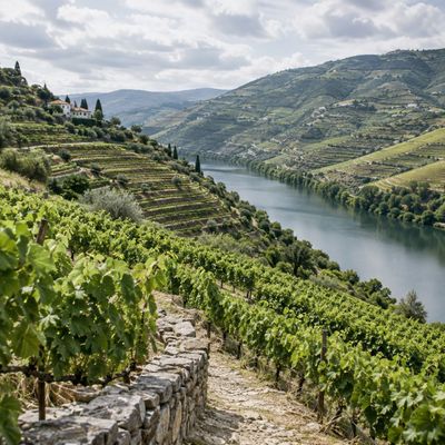 Porto – LBV – Portugal