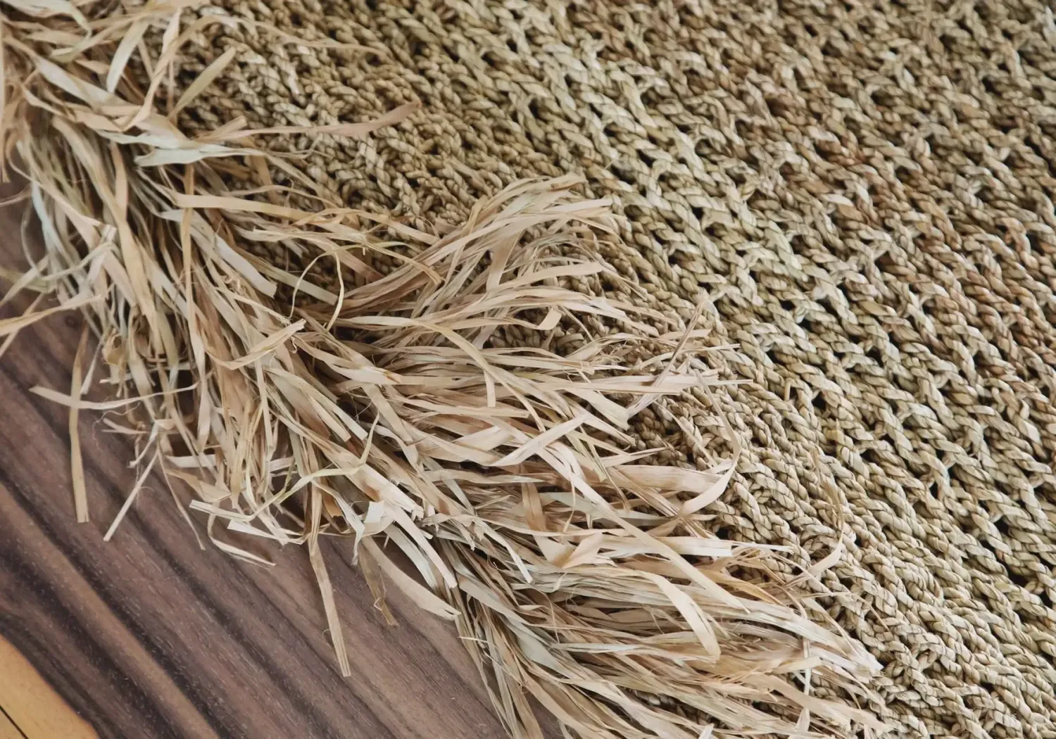 The Raffia Fringed Carpet - Natural 180x240