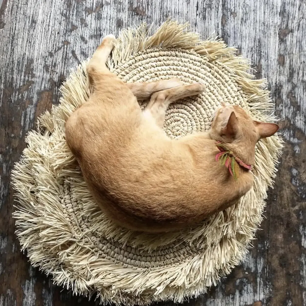 The Fringe Raffia Placemat Round - Natural