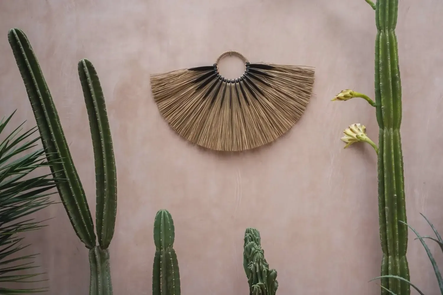 The Alang Wood on Stand