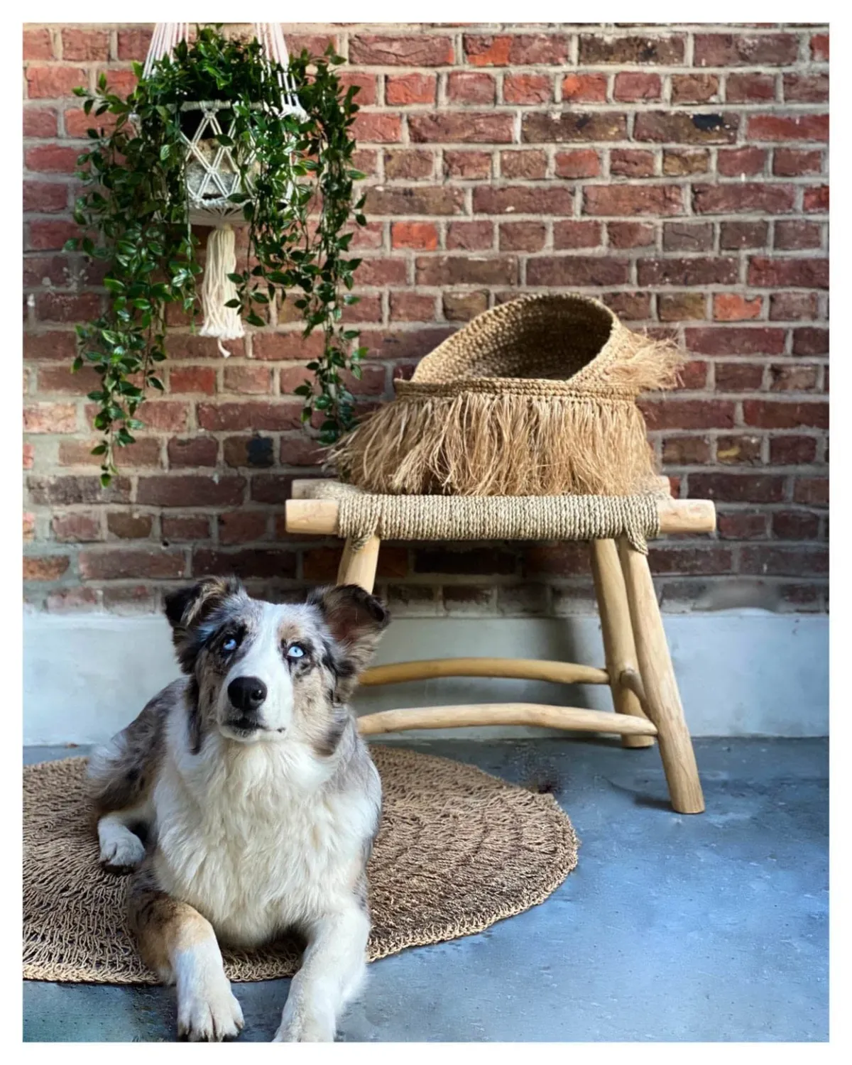 The Porto Seagrass Stool - Natural