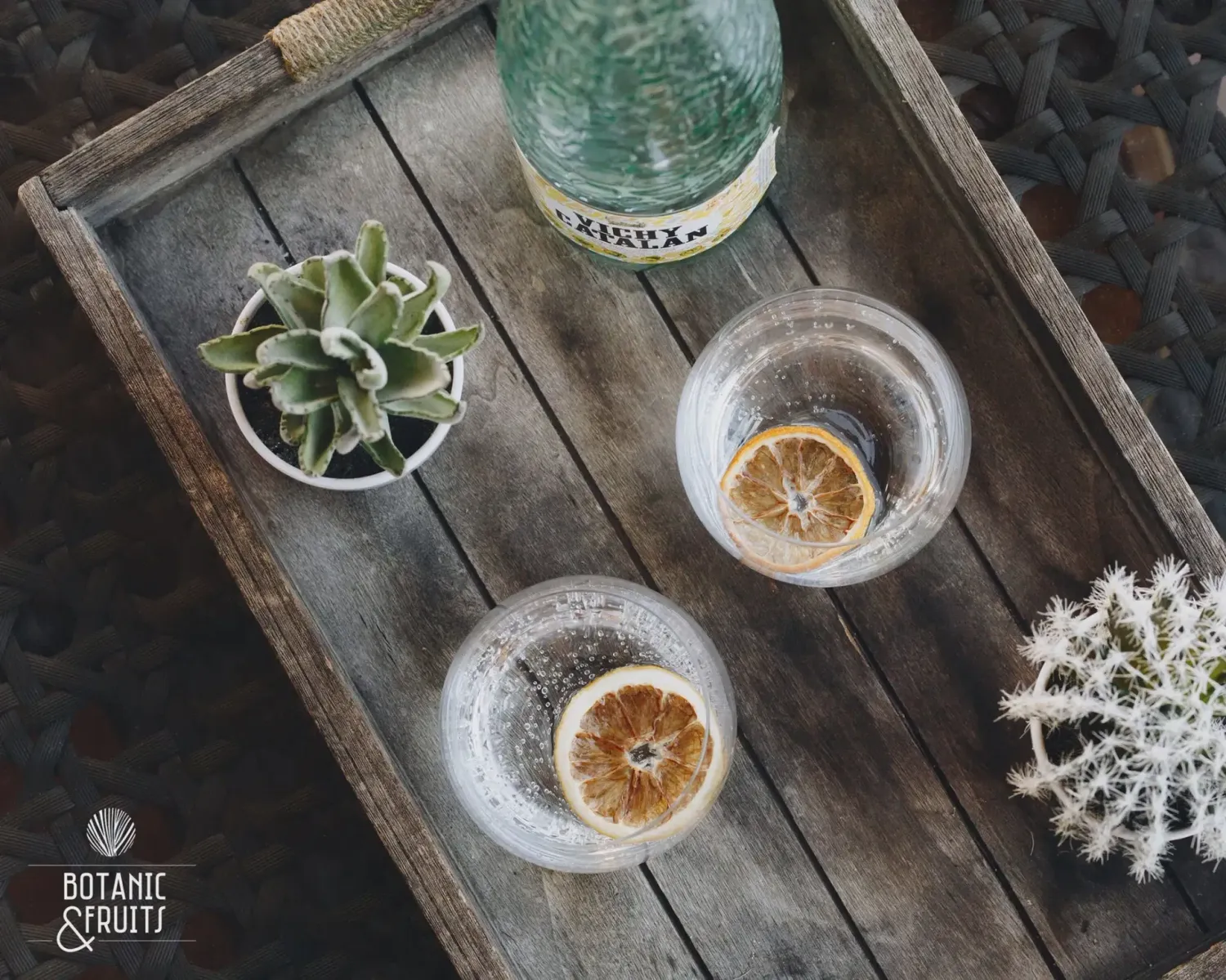 4 citrus pack - orange, blood orange, lime and lemon slices